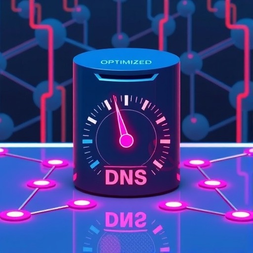 提升网站速度的秘密武器：DNS优化全面解析