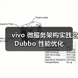 vivo 微服务架构实践之 Dubbo 性能优化