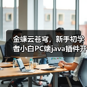 金蝶云苍穹，新手初学者小白PC端java插件开发教学示例（图4）