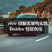 vivo 微服务架构实践之 Dubbo 性能优化（图3）