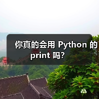 你真的会用 Python 的 print 吗？