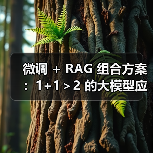 微调 + RAG 组合方案：1+1＞2 的大模型应用技巧（图2）