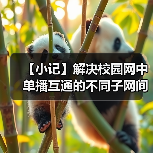 【小记】解决校园网中单播互通的不同子网间的 LocalSend 发现问题（图2）