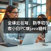 金蝶云苍穹，新手初学者小白PC端java插件开发教学示例（图4）