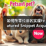 如何在零位排名实现Featured Snippet Acquisition 助你点击暴涨