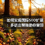 如何实现国际SEO扩展：多语言策略助你登顶区域排名（图4）