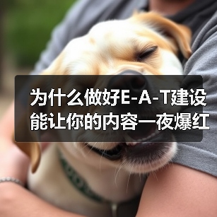 为什么做好E-A-T建设能让你的内容一夜爆红？揭示成功案例背后的秘密（图4）