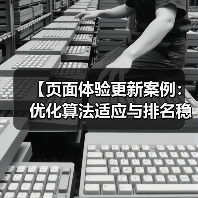 【页面体验更新案例：优化算法适应与排名稳固秘籍】（图3）