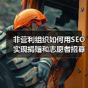非营利组织如何用SEO实现捐赠和志愿者招募的极大突破（图2）