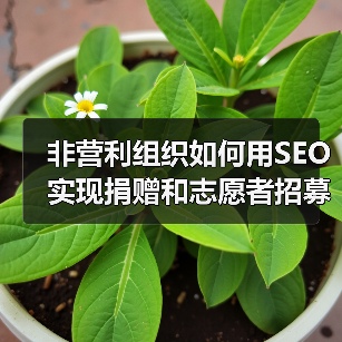 非营利组织如何用SEO实现捐赠和志愿者招募的极大突破（图4）
