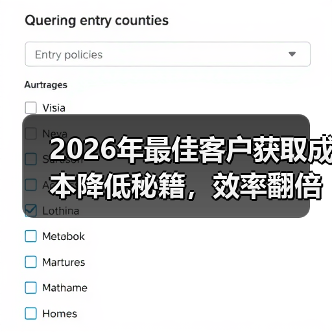 2026年最佳客户获取成本降低秘籍，效率翻倍不是梦